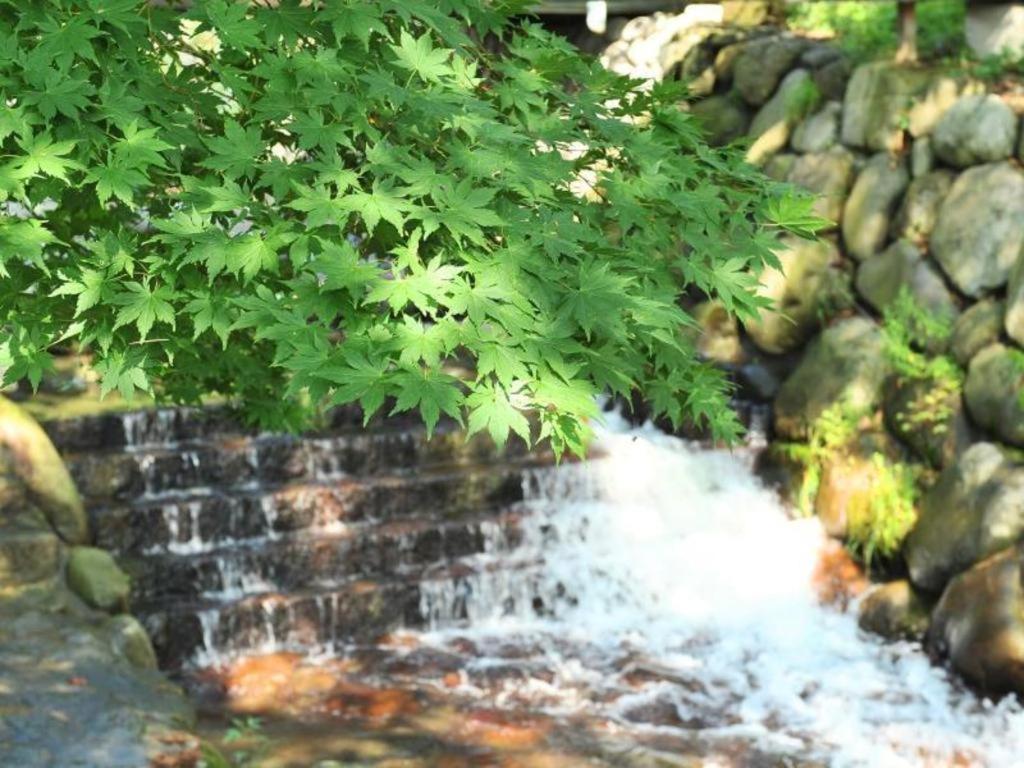 Yuzawa Toei Hotel Kültér fotó